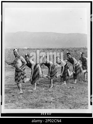 Fünf Maori-Männer in traditioneller Kleidung, die Haka-Tanz (Kriegstanz) tanzten. Frank and Frances Carpenter Collection, Copyright by Underwood & Underwood, New York, Maori (Neuseeland People),Dance,1890-1920. Stockfoto