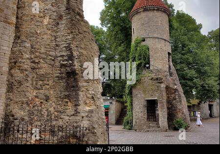 Viru Varav Tor, Viru Straße, Altstadt, Tallinn, Estland Stockfoto