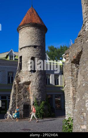 Viru Varav Tor, Viru Straße, Altstadt, Tallinn, Estland Stockfoto