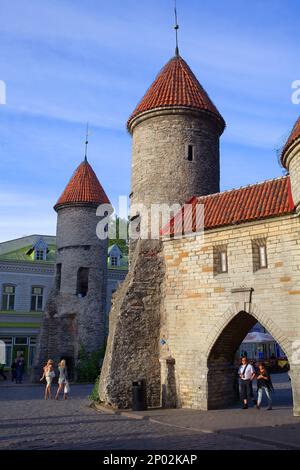 Viru Varav Tor, Viru Straße, Altstadt, Tallinn, Estland Stockfoto