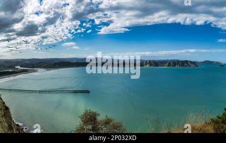 Blick auf den historischen Tolaga Bay Wharf vom Captain Cook Walkway hoch oben auf der Klippe Stockfoto