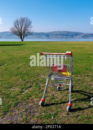 Ein leerer Einkaufswagen, verlassen auf der Wiese am Lake Murten Stockfoto