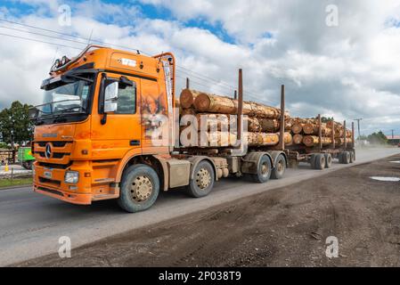 Holzfällerwagen, der durch die Außenbezirke von Masterton, Neuseeland, fährt. Mercedes-Benz Actros mit Anhänger für Forstholz Stockfoto