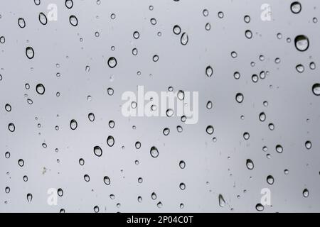 Eine kleine Regentropfen ruht auf das Glas nach Regen. Stockfoto