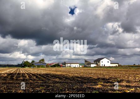 Modernisierung in der deutschen Landwirtschaft: Landwirtschaftliche Gebäude mit montierten Solarpaneelen Stockfoto