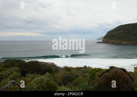 Bemerkenswerte Höhlen auf der Tasman-Halbinsel, wo Surfer der starken Strömung trotzen, die in die Höhlen hinein und heraus zieht. Stockfoto