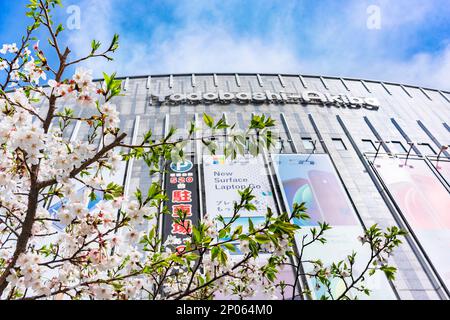 tokio, japan - märz 29 2022: Aufnahme japanischer Sakura-Kirschblüten aus niedrigem Winkel vor der Fassade des Kaufhauses Yodobashi-Akib Stockfoto