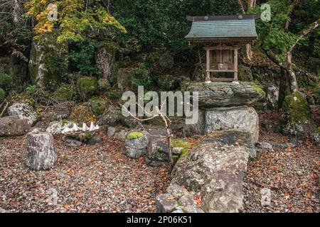 Kleiner Tempel im Garten des buddhistischen Jinguji-Tempels mit gefallenen Blättern, Kamiyama, Japan Stockfoto