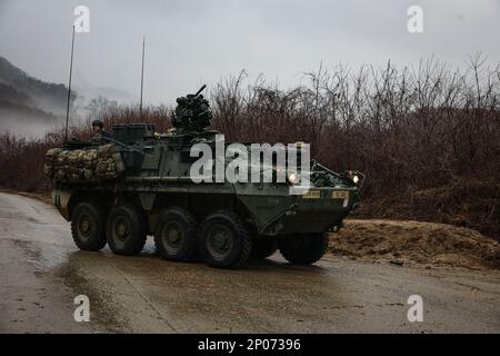 Ein M1126 Stryker-Kampffahrzeug, das dem 1. Bataillon, 17. Infanterie-Regiment, 2. Stryker-Brigade-Kampfteam, 2. Infanterie-Division zugeteilt ist, trägt eine Einheit Infantryman während einer Squad-Trainingsübung am 13. Januar 2023 im Twin Bridges Training Area in Südkorea während der koreanischen Rotationstruppe 12. Stockfoto