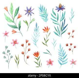Kollektion mit niedlichen, hübschen, abstrakten Blumenelementen, isoliert auf weißem Hintergrund. Handgezeichnete Aquarell-Illustration Stockfoto