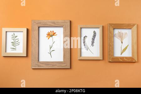 Rahmen mit gepressten getrockneten Blumen und Pflanzenblättern auf orangefarbenem Hintergrund. Wunderschönes Herbarium Stockfoto