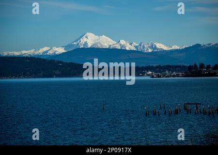 Blick auf den Mount Baker vom Washington State Ferry Terminal in Anacortes, Washington State, USA. Stockfoto