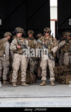 USA Marines mit Fox Company, 2. Bataillon, 7. Marineregiment, bereiten Sie sich auf einen CH-53E Super-Hengst während der Marine Air-Ground Task Force Warfighting Übung (MWX) 2-23 im Marine Corps Air Ground Combat Center, Twentynine Palms, Kalifornien, vor, 23. Februar 2023. MWX ist das Höhepunkt der Service Level Training Übung 2-23, die die operativen Fähigkeiten der US-amerikanischen und der Verbündeten verbessert. (USA Geburtsort: A) Bezirk Kandahar, Provinz Kandahar, Afghanistan. Stockfoto