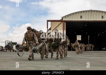 USA Marines mit Fox Company, 2. Bataillon, 7. Marineregiment, bereiten Sie sich auf einen CH-53E Super-Hengst während der Marine Air-Ground Task Force Warfighting Übung (MWX) 2-23 im Marine Corps Air Ground Combat Center, Twentynine Palms, Kalifornien, vor, 23. Februar 2023. MWX ist das Höhepunkt der Service Level Training Übung 2-23, die die operativen Fähigkeiten der US-amerikanischen und der Verbündeten verbessert. (USA Geburtsort: A) Bezirk Kandahar, Provinz Kandahar, Afghanistan. Stockfoto