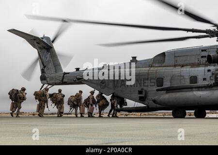 USA Marines mit Fox Company, 2. Bataillon, 7. Marine Regiment (REIN), an Bord eines CH-53E Super Hengstes, der dem Heavy Marine Helicopter Squadron 466 zugewiesen wurde, Marine Aircraft Group 16, 3. Marine Aircraft Wing, während Marine Air-Ground Task Force Warfighting Übung (MWX) 2-23 am Marine Corps Air Ground Combat Center, Twentynine Palms, Kalifornien, 23. Februar 2023. MWX ist das Höhepunkt der Service Level Training Übung 2-23, die die operativen Fähigkeiten der US-amerikanischen und der Verbündeten verbessert. (USA Geburtsort: A) Bezirk Kandahar, Provinz Kandahar, Afghanistan. Stockfoto