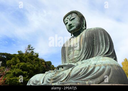 Der große Buddha in Kōtoku-in, Kamakura, Japan. Stockfoto