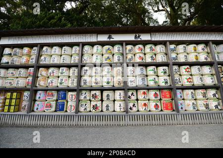 Dekorierte Sake-Fässer am Tsurugaoka Hachimangū-Schrein in Kamakura, Präfektur Kanagawa, Japan. Stockfoto