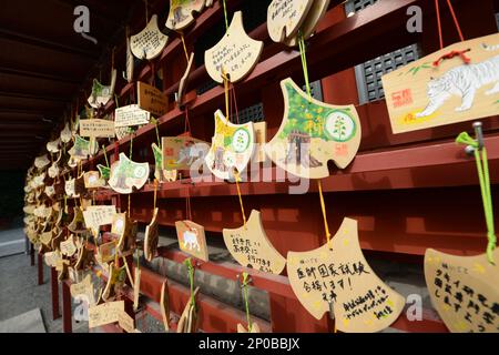 EMA Holztafeln für Gebete und gute Wünsche am Tsurugaoka Hachimangu-Schrein in Kamakura, Japan. Stockfoto