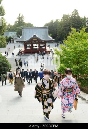 Tsurugaoka Hachimangū-Schrein in Kamakura, Japan. Stockfoto