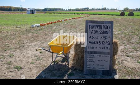 Ein Schild am Eingang des Kürbis-Pflasters Stockfoto