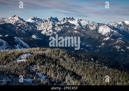 WA23198-00...WASHINGTON - die Snoqualmie Peaks vom Amabilis Mountain im Okanogan-Wenatchee National Forest aus gesehen. Stockfoto