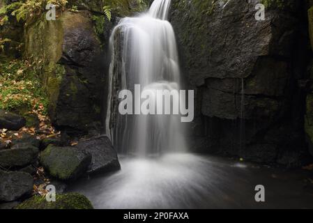 Wasserfall in The Gorge, Lumsdale Upper Falls, Bentley Brook, Lumsdale Valley, Peak District National Park, Derbyshire, England, Großbritannien Stockfoto