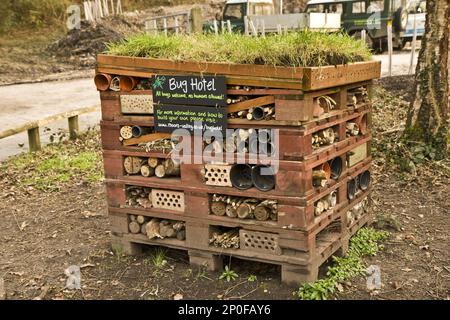 Bug Hotel künstliche Seite aus Holzpaletten für wirbellose Tiere, Moors Valley, Grenze Dorset-Hampshire, England, Großbritannien Stockfoto