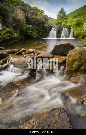 Wasserfälle über Felsen im Moorlebensraum, Fairbrook, Peak District National Park, Derbyshire, England, Großbritannien Stockfoto