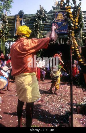 Mariamman Festival in Pappanaicken Pudur, Coimbatore, Tamil Nadu, Indien Stockfoto