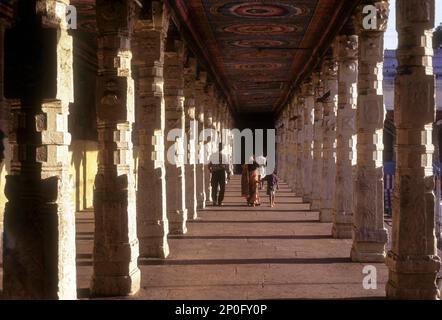 Korridor um den goldenen Lotustank im Meenakshi-Tempel, Madurai, Tamil Nadu, Indien, Asien Stockfoto