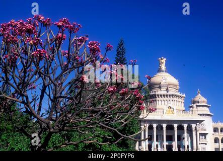 Vidhana Soudha (Karnatakas Legislativversammlung) in Bengaluru oder Bangalore, Indien, Asien Stockfoto
