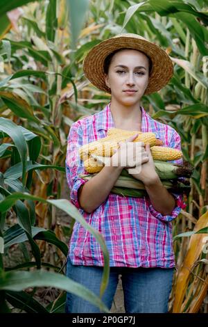 Landwirtinnen, die frische organische Maiskolben auf dem Maisfeld halten. Pflanzenpflegekonzept. Stockfoto