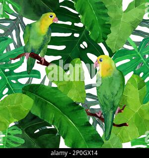 Wasserfarbenes Nahtmuster mit Vögeln im tropischen Wald. Aquarell handgezeichnete grüne exotische Pflanzenblätter und Turteltauben. Design für Abdeckungen und Hintergründe Stockfoto