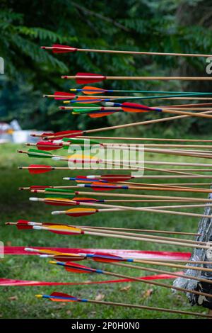 Erfolgreiches Konzept, alle Goldpfeile auf Ziel, Bogenschießen-Sport. Stockfoto