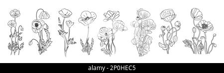 Poppy August Geburtsmonat Blütenumriss Vektorset Stock Vektor
