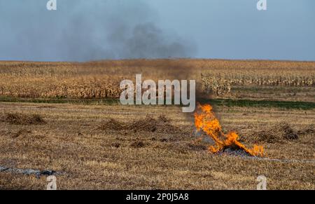 Verbrennung landwirtschaftlicher Abfälle - Smog und Verschmutzung. Schädliche Emissionen aus Heu- und Strohverbrennung auf landwirtschaftlichen Feldern. Stockfoto