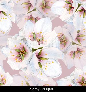 Staubiges pinkfarbenes, wasserfarbenes Muster mit Mandelblumen und weißer Kirschblüte für Muttertag und Hochzeit. Stockfoto