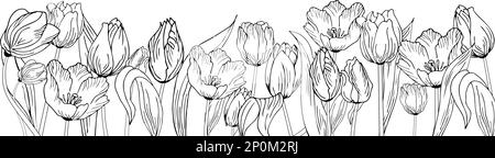 Blumiger Hintergrund mit Tulpen. Von Hand zeichnen Stock Vektor