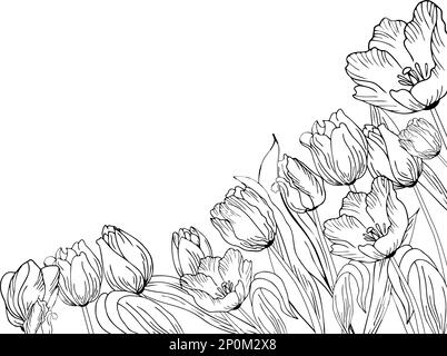 Blumiger Hintergrund mit Tulpen. Von Hand zeichnen Stock Vektor