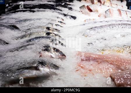 Verschiedene Fischsorten mit Eis auf der Theke. Verkauf Stockfoto