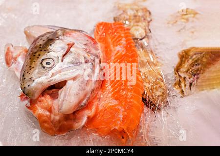 Geschirrsuppe mit rotem Fischlachs und Forelle mit Eis auf der Theke. Verkauf Stockfoto