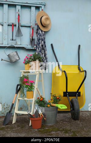 Schöne Pflanzen, Gartengeräte und Zubehör in der Nähe von Schuppen im Freien Stockfoto