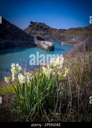 Der hübsche Hafen von Boscastle in Cornwall Stockfoto