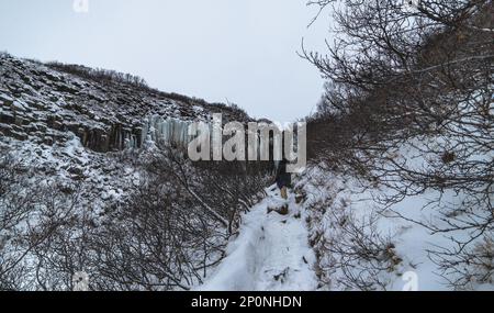 Landschaft und schneebedeckte Berge von Island mit dem gefrorenen Wasserfall von Svartifoss in der Ferne. Stockfoto