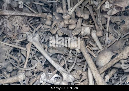 Viele menschliche Knochen von gefallenen Soldaten wurden im Douaumont-Ossarium gesehen, einem Denkmal in der Nähe von Verdun in Frankreich Stockfoto
