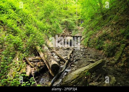 Wanderweg in der wilden und romantischen Schlucht Ruppertsklamm in Lahnstein - Deutschland Stockfoto