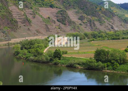 Die Ruinen des Klosters Stuben an der Mosel in Bremm Stockfoto