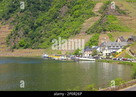 Das Weindorf Beilstein an der Mosel, Rheinland-Pfalz - Deutschland Stockfoto