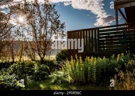 Sonnenschein über der Bergkette, die durch den Baum im Garten des isländischen Hauses scheint Stockfoto