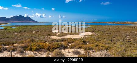 Ornithologischer Aussichtspunkt Las Salinas, Salinas de Cabo de Gata, Feuchtgebiet Ramsar, Naturpark Cabo de Gata-Níjar, UNESCO-Biosphärenreservat, Hot des Stockfoto